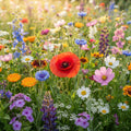 Wildflower Mixed - image 1